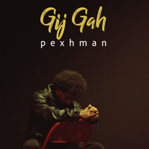 دانلود آهنگ پژمان گیجگاه